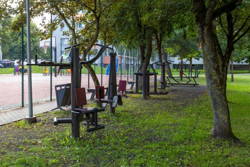 Lauko treniruokliai paveiksliukas