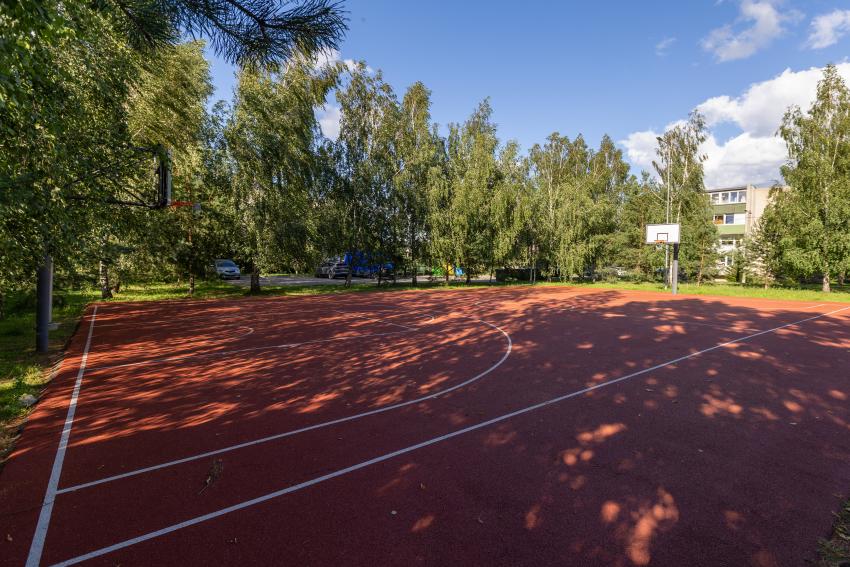 Lauko treniruokliai 294