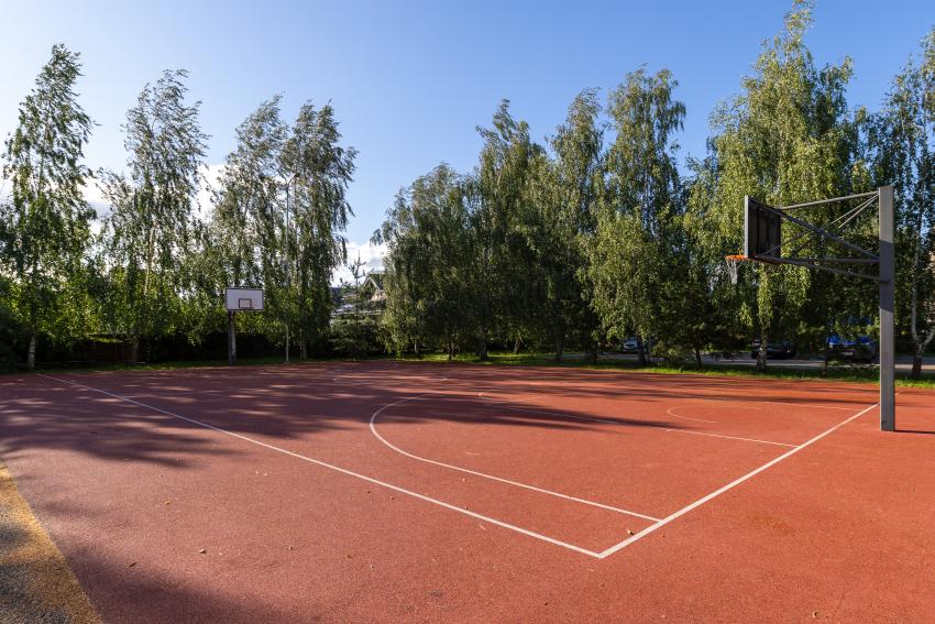 Lauko treniruokliai 294