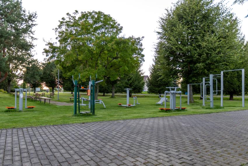 Lauko treniruokliai 313