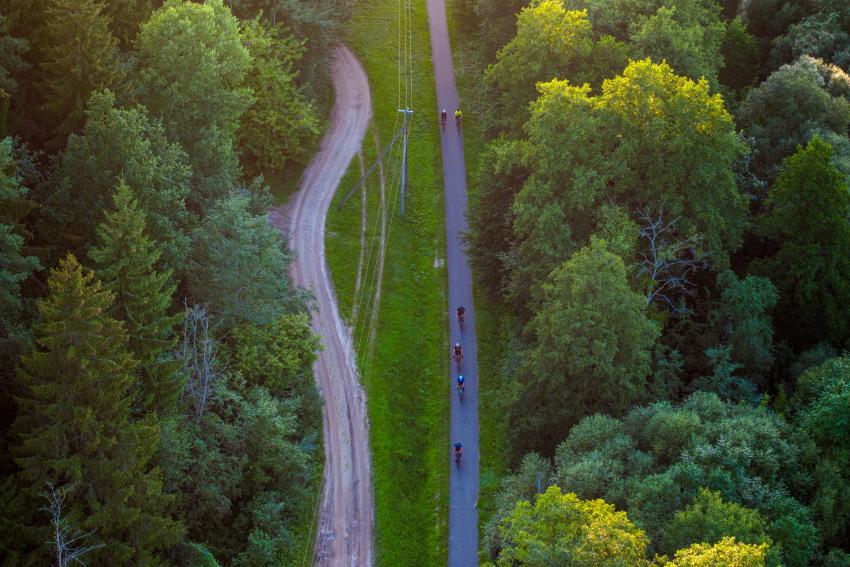 Dviračių takas 323