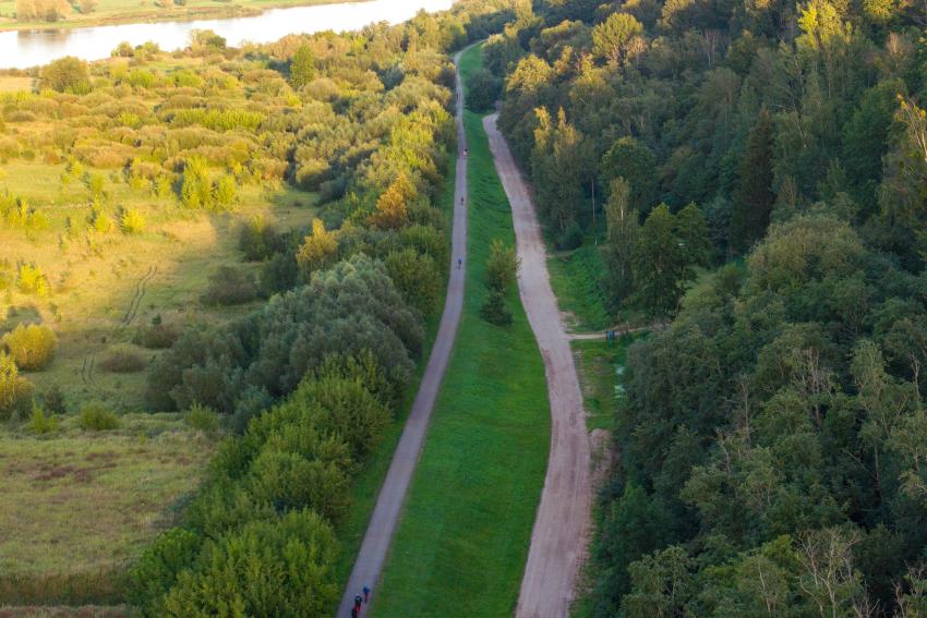 Dviračių takas 323