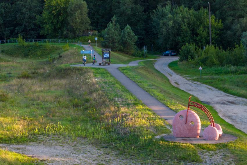 Dviračių takas 323
