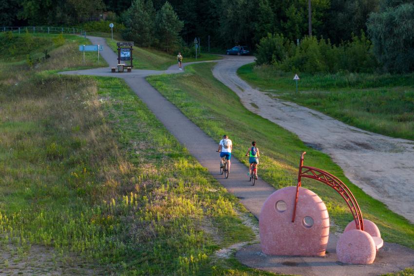 Dviračių takas 323