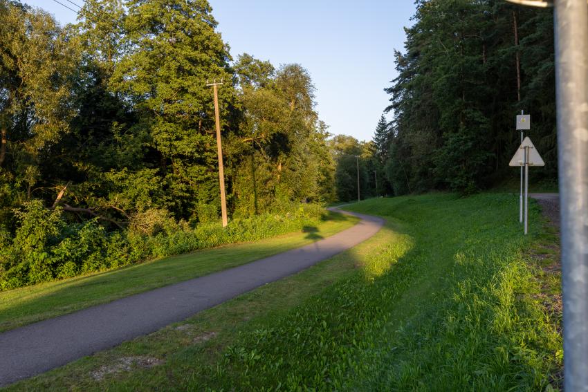 Dviračių takas 323