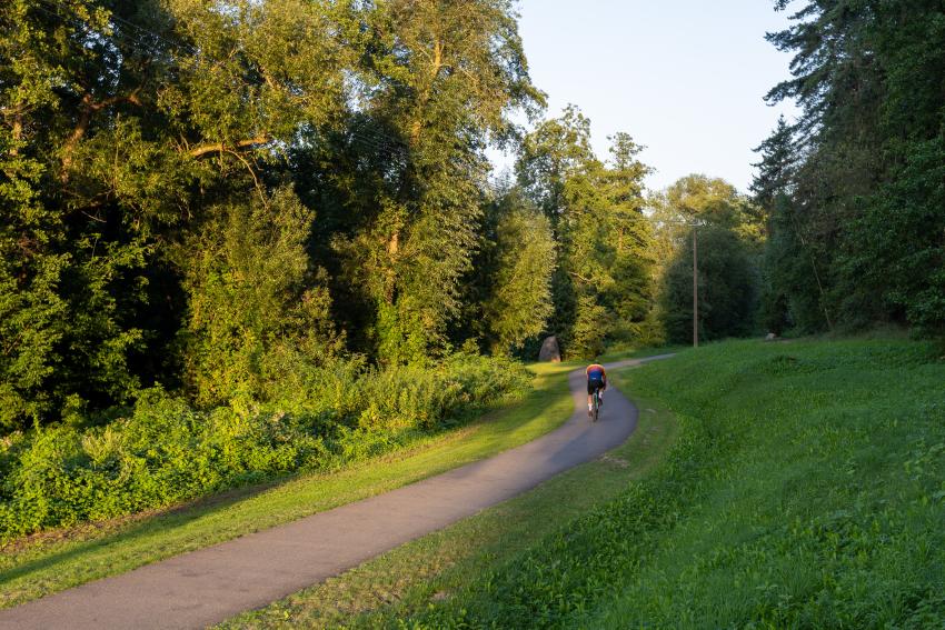Dviračių takas 323
