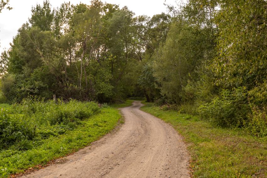 Dviračių maršrutas 325