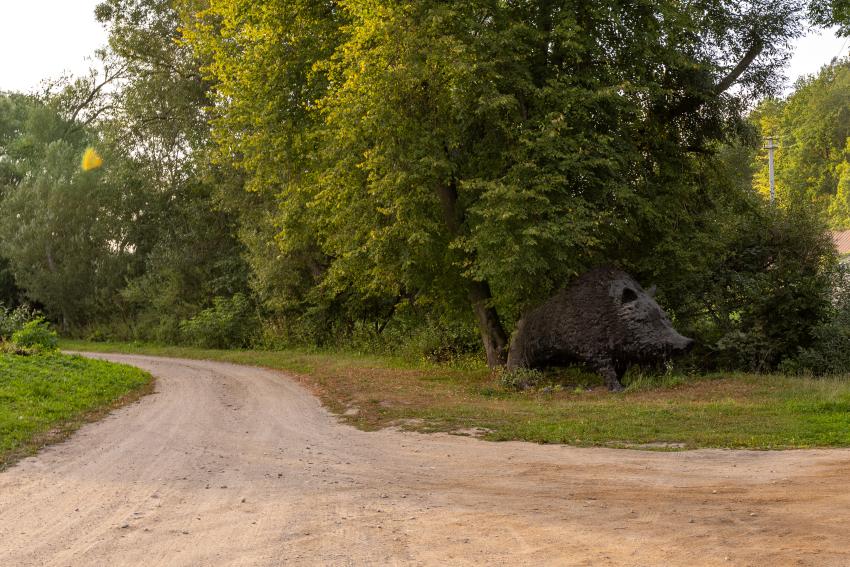 Dviračių maršrutas 325