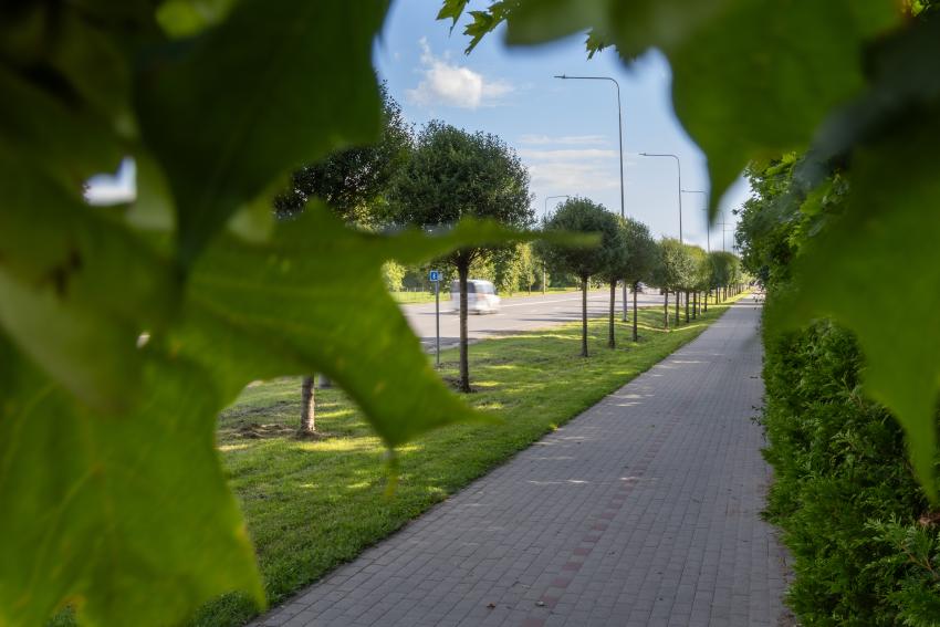Dviračių takas 332