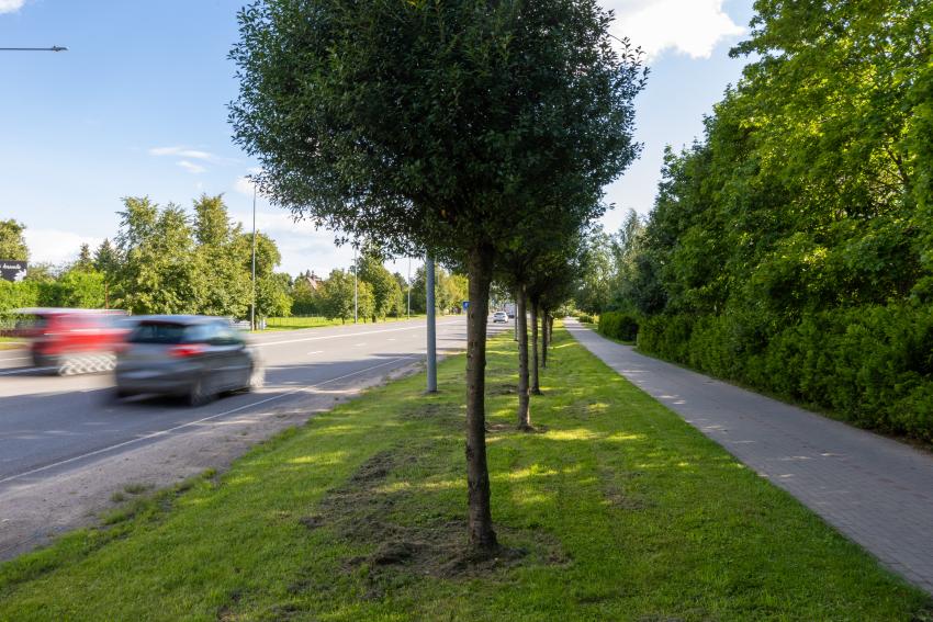 Dviračių takas 332