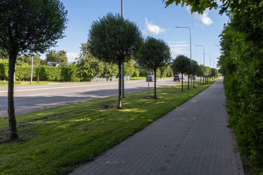 Dviračių takas 332