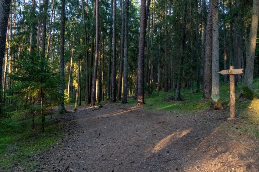Pėsčiųjų takas 335