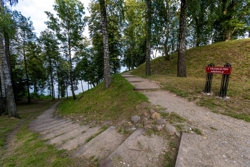 Pėsčiųjų takas 338