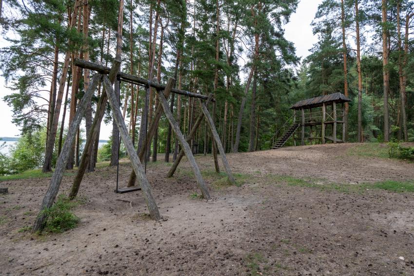 Pėsčiųjų takas 339