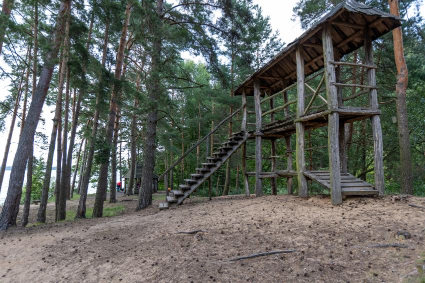 Pėsčiųjų takas 339