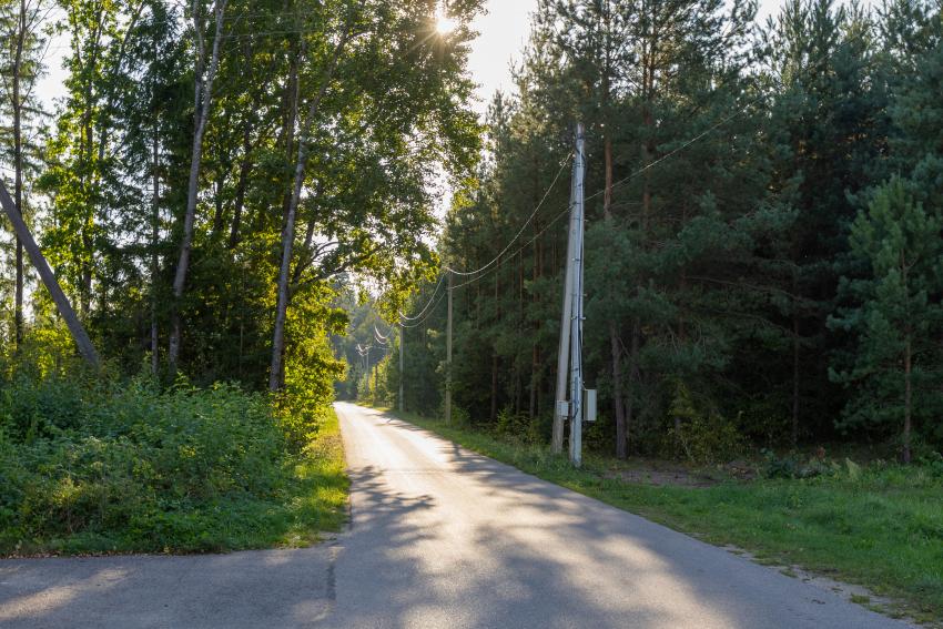 Pėsčiųjų takas 342