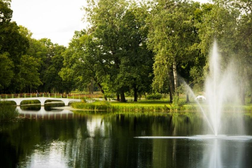 Kėdainių miesto parkas 149
