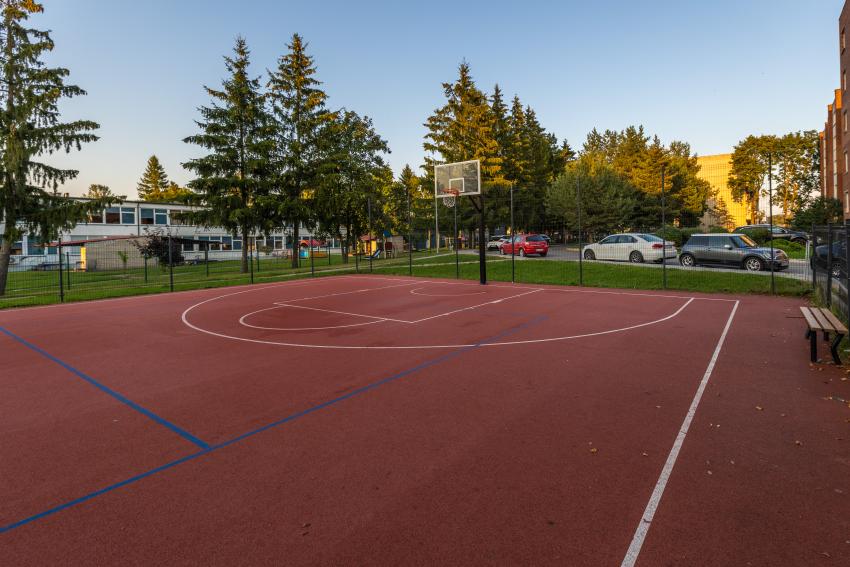 Domeikavos seniūnijos daugiafunkcė sporto aikštelė 232