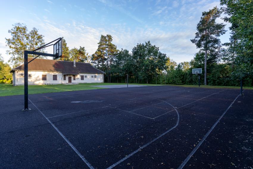 Ežerėlio seniūnijos daugiafunkcė sporto aikštelė 235