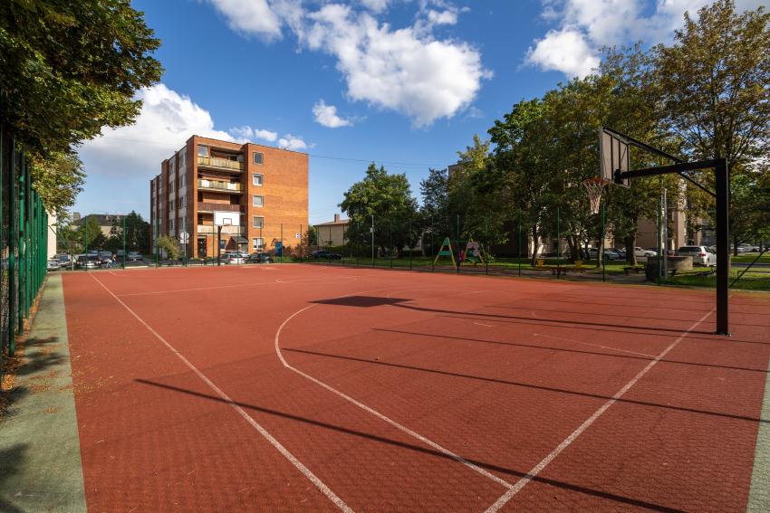 Galiavos seniūnijos daugiafunkcė sporto aikštelė 240