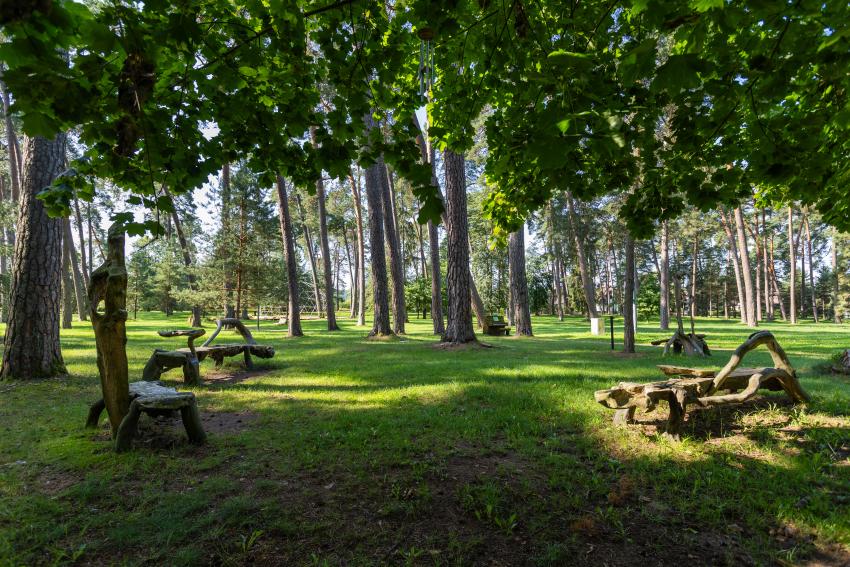 Kulautuvos diskgolfo parkas 265