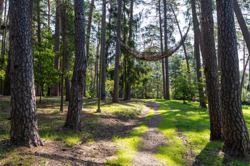 Kulautuvos diskgolfo parkas 265