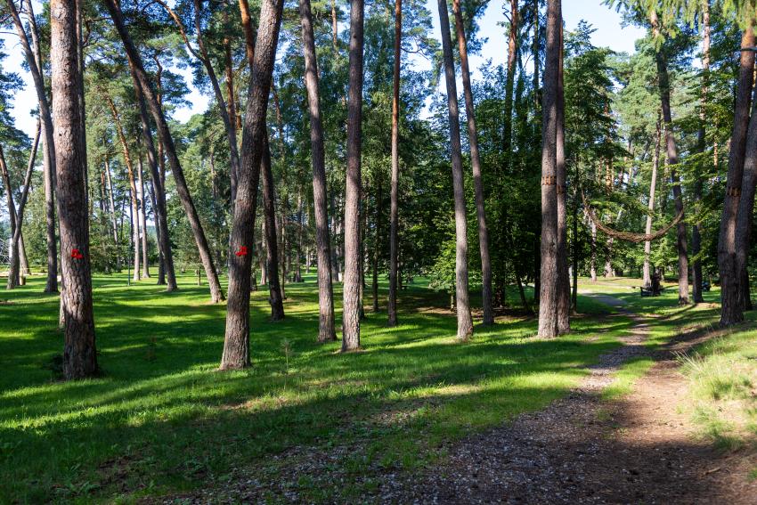 Kulautuvos diskgolfo parkas 265