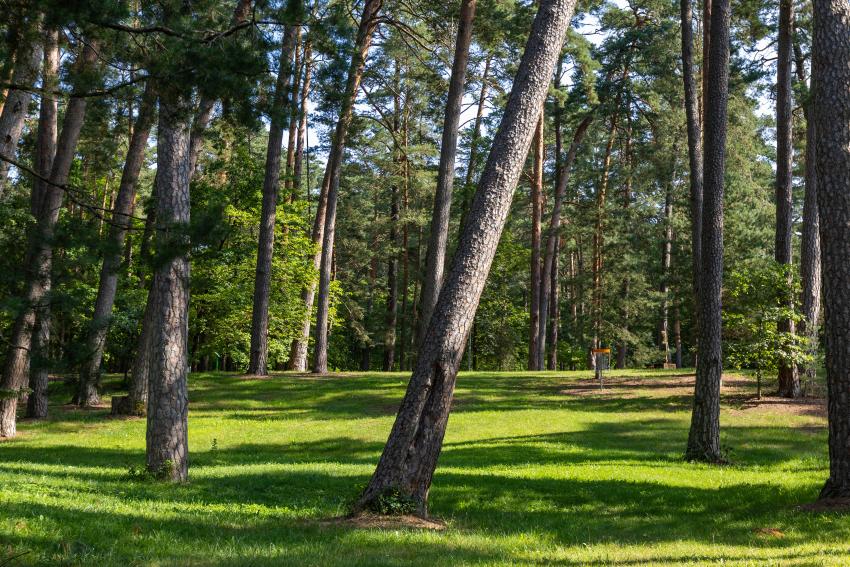 Kulautuvos diskgolfo parkas 265
