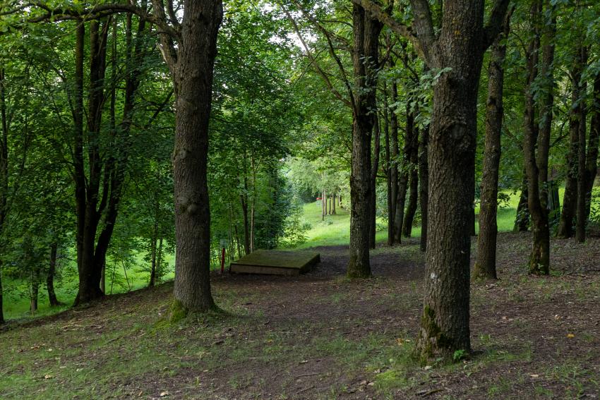 Domeikavos diskgolfo parkas 264