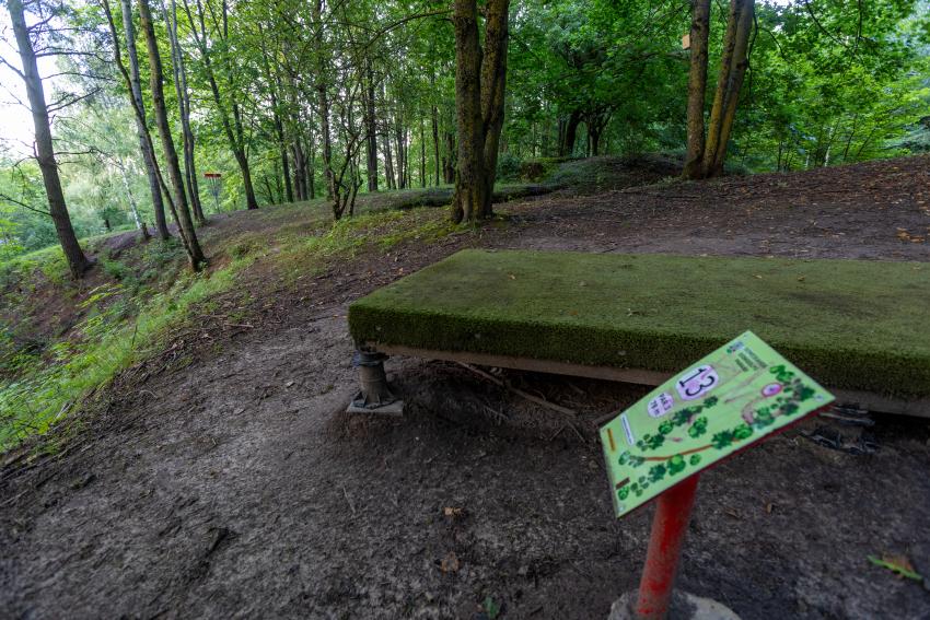 Domeikavos diskgolfo parkas 264