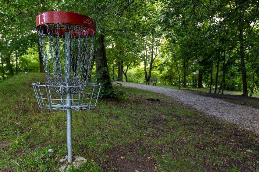 Domeikavos diskgolfo parkas 264