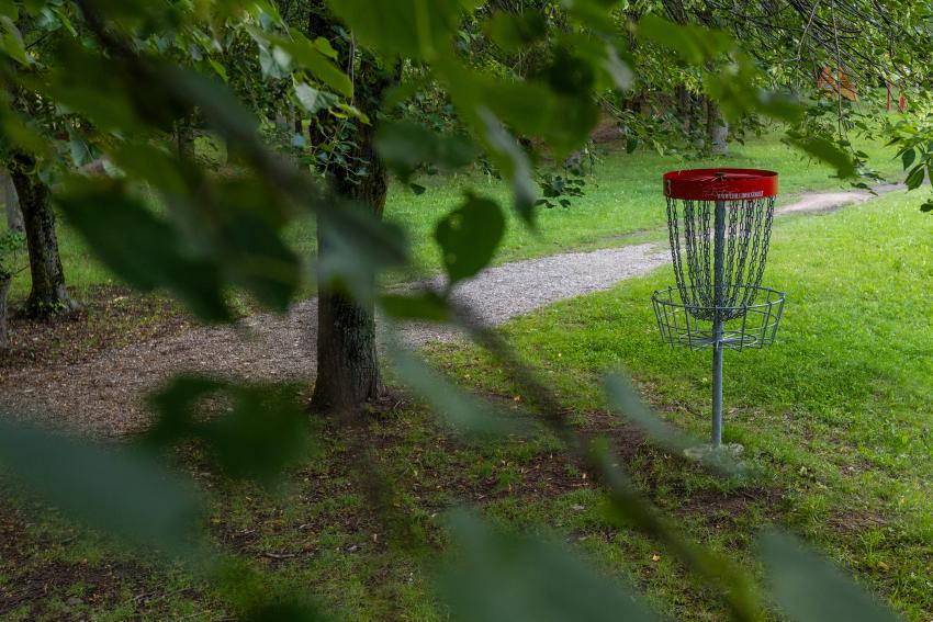 Domeikavos diskgolfo parkas 264